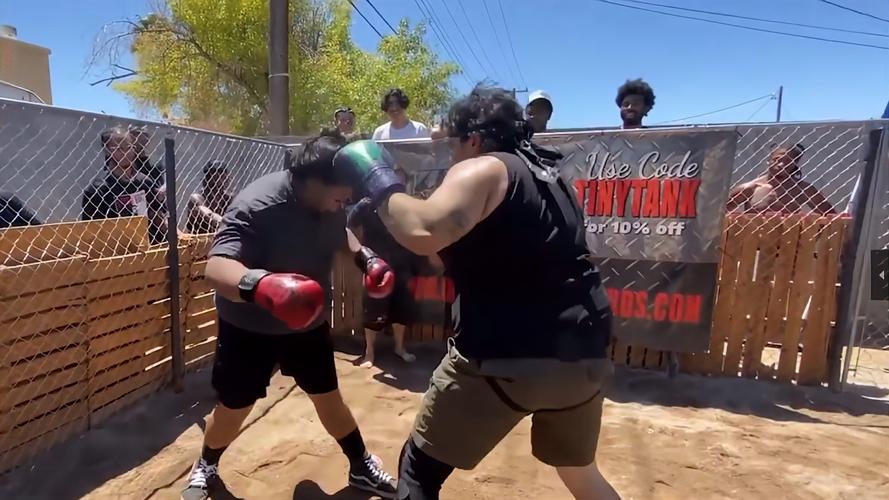 胖子vs日本拳击视频
